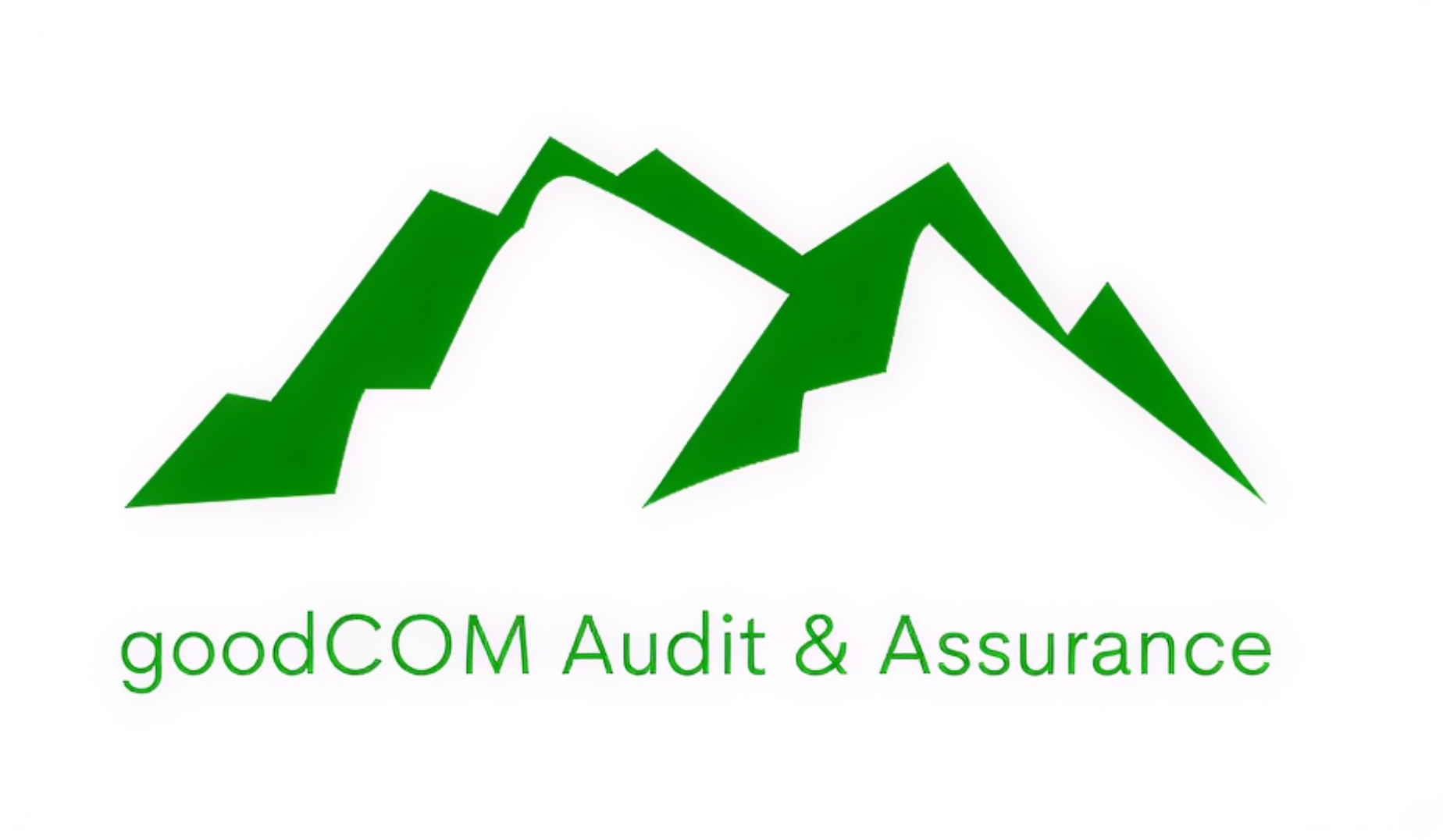 goodCOM Audit & Assurance Logo (3)